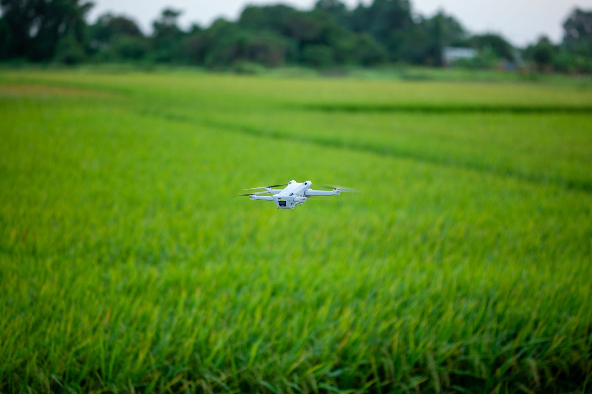 A white quadcopter hovering over a green field in a stock photograph.