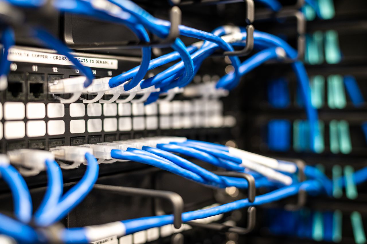 Blue network cables connected to ports in a black patch panel.
