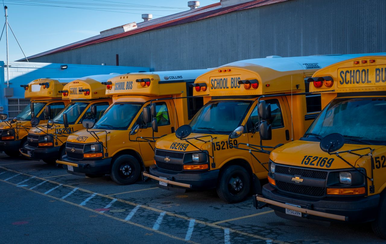 A row of yellow school buses parked beside a large building.